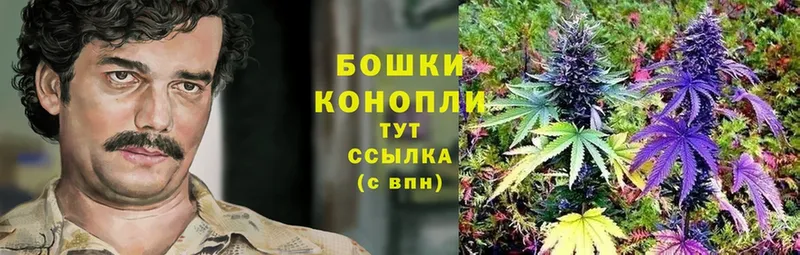 Шишки марихуана White Widow  Петровск 